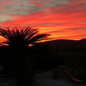 Meet your Posher, Elmer